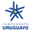 Primera Division Uruguay logo