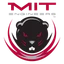 MIT Engineers logo