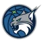 Minnesota Lynx logo