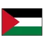 Palestine logo
