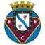 Logo de Felgueiras