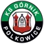 Logo KS Górnik Polkowice