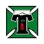 Deportes Temuco logo