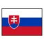 Viktoria Hruncakova logo