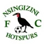 Logo de Nsingizini Hotspurs