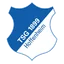 TSG Hoffenheim logo