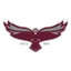 Maryland Eastern Shore Hawks logo