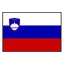 Slovenia logo