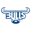 Bulls logo