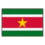 Suriname logo