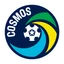 New York Cosmos logo