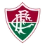 Fluminense logo