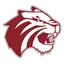 Trinity (TX) Tigers logo