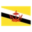 Brunei Darussalam logo