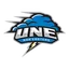 University of New England Nor'easters logo