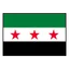 Syria logo