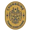 Chongqing Tonglianglong logo