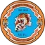 Medina United FC logo