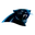 Carolina Panthers logo