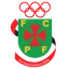 Paços de Ferreira logo