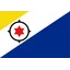 Bonaire logo