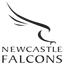Newcastle Falcons logo