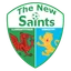 شعار The New Saints