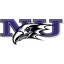 Niagara Purple Eagles logo