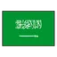 Saudi Arabia logo