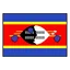 Eswatini logo