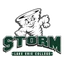 Lake Erie Storm logo