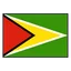 Guyana logo