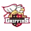 Seton Hill Griffins logo