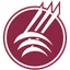 Montana State-Northern Lights logo