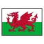 Logo Wales U21